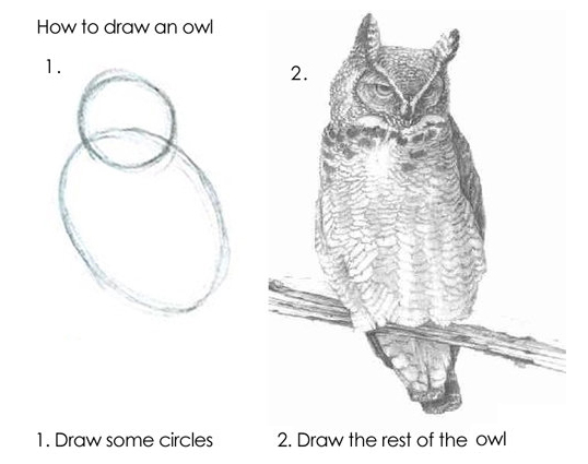 How to draw an owl clean
